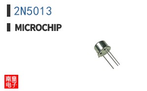 2N5013
