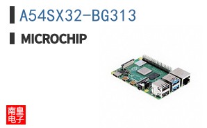 A54SX32-BG313