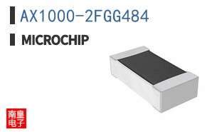 AX1000-2FGG484