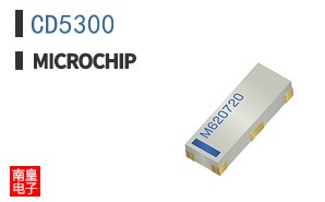 CD5300