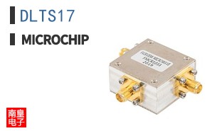 DLTS17