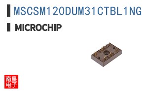 MSCSM120DUM31CTBL1NG