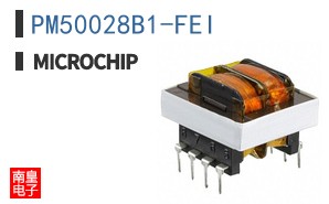 PM50028B1-FEI