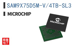 SAM9X75D5M-V/4TB-SL3