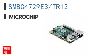 SMBG4729E3/TR13