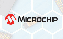 Microchip˾